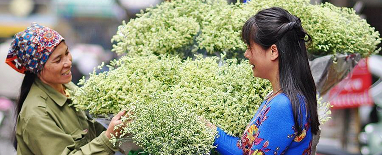 Lys blanc: La reine des fleurs du mois d'avril à Hanoi