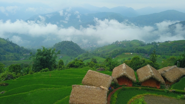 Rizières en terrasse à Hoang Su Phi