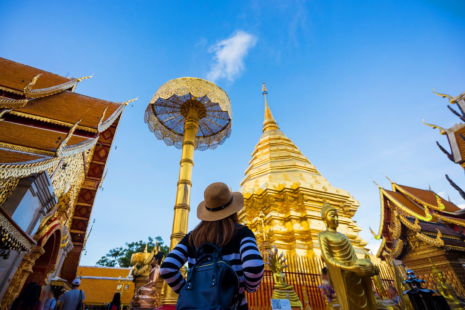 Thaïlande : De Bangkok au Triangle d'Or, voyage mythique