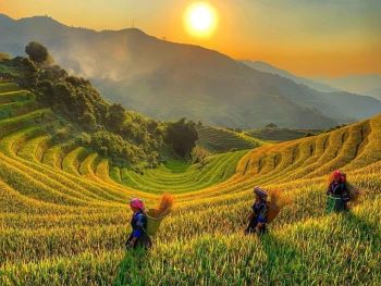 Vietnam dans le rêve du monde