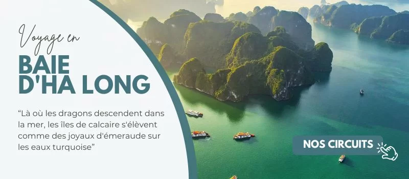 circuit vietnam 15 jours