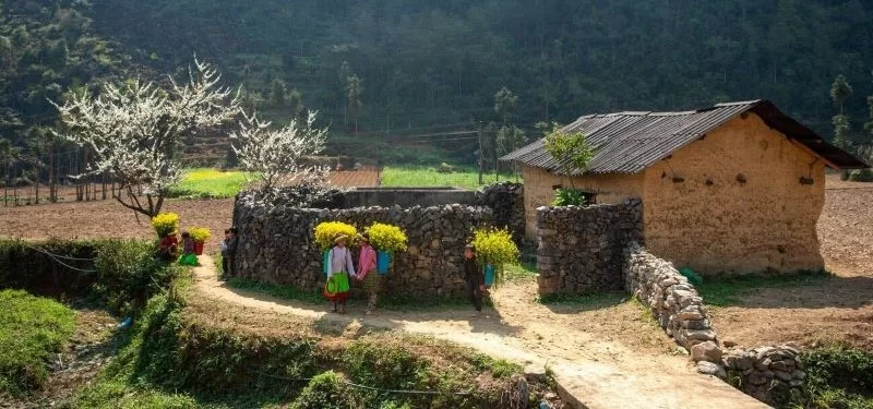Santé et sécurité au Vietnam tout ce qu'il faut savoir (2026)