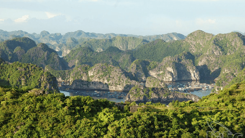 Parc National de Cat Ba