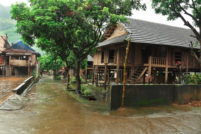 maison sur pilotis en bois