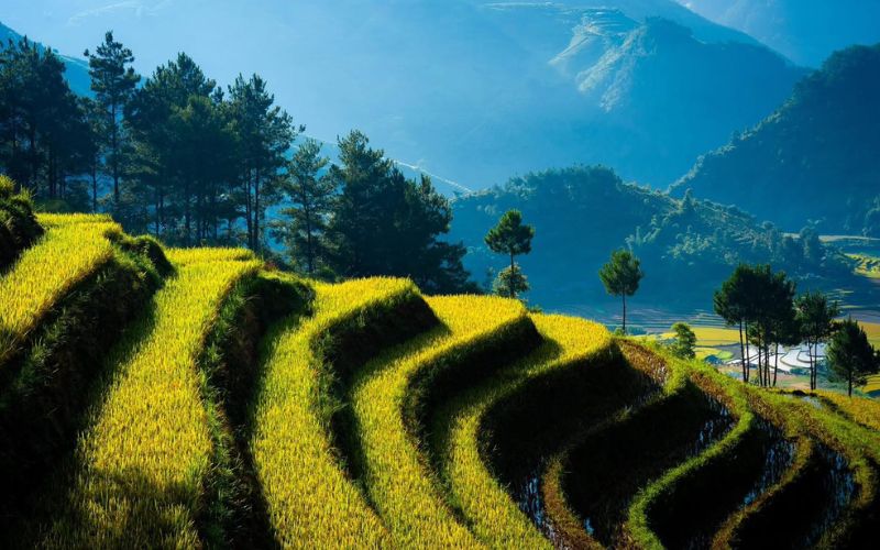 Climat du Nord Vietnam selon les saisons – hiver froid à Sapa, été humide à Hanoi, automne tempéré