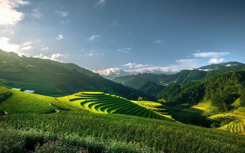 Rizières en terrasse de Mu Cang Chai dans le Nord Vietnam, paysage iconique au lever du soleil