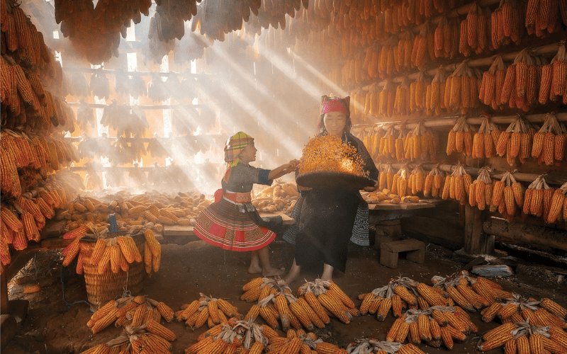 Femmes d'une ethnie minoritaire du Nord Vietnam en costumes traditionnels colorés