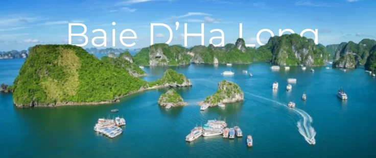 Baie d'Halong avec Typic Travel : hors des sentiers battus