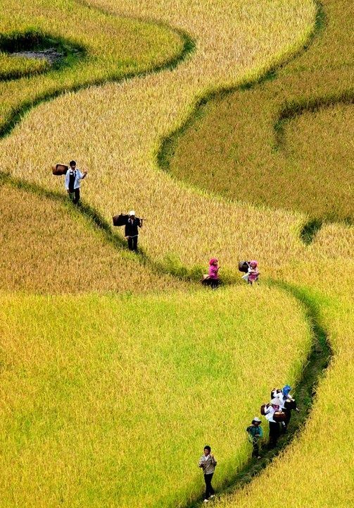 Vietnam: Climat et meilleur moment de l'année pour visiter