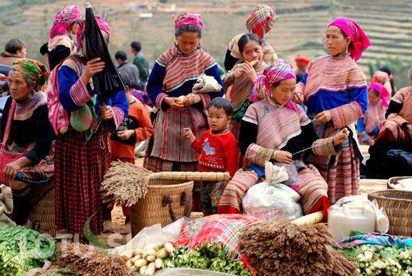 Sapa et Bac Ha : Treks et traditions des ethnies du Nord