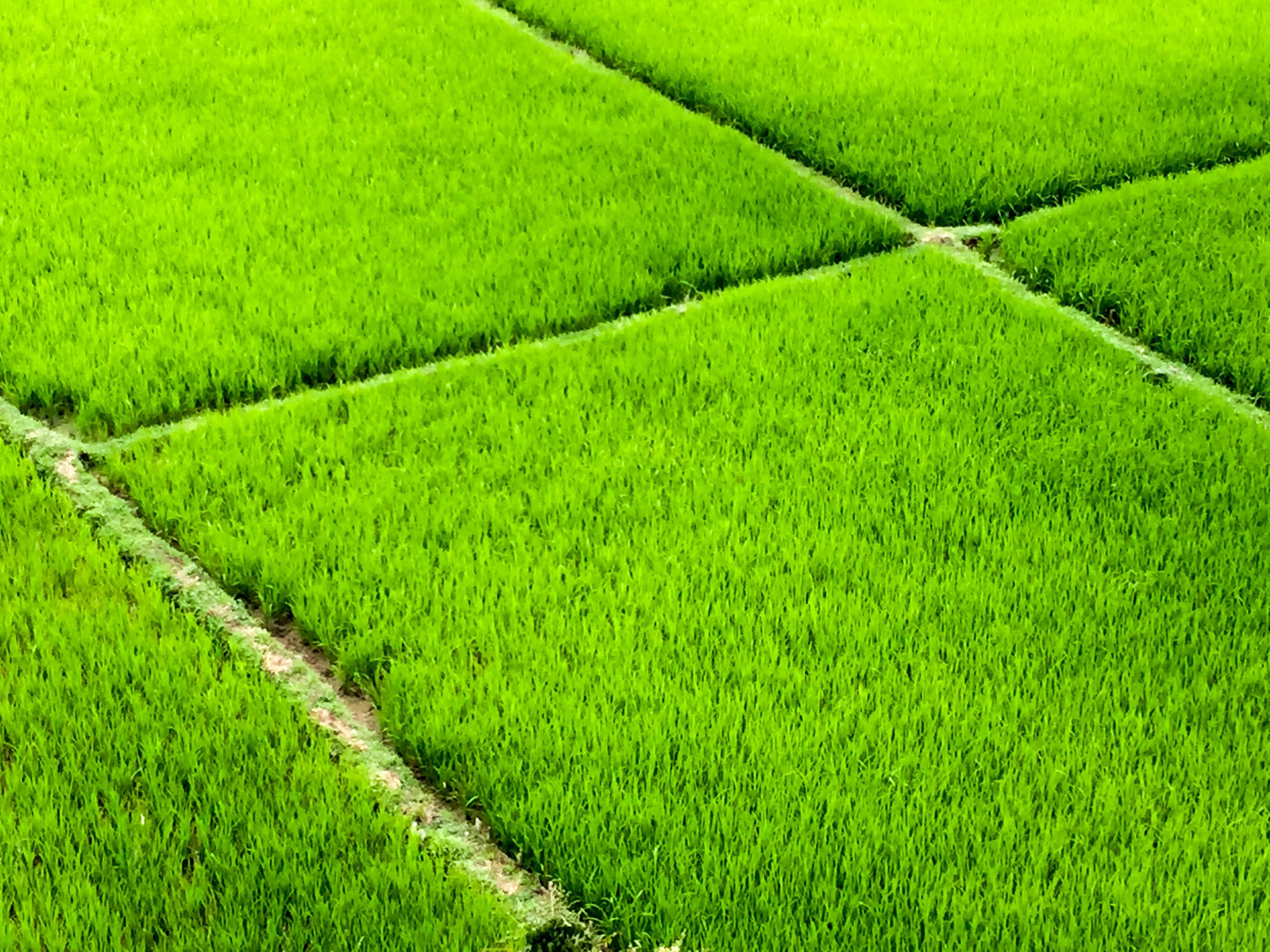 Trip Vietnam for Mrs. Audrey's Famille