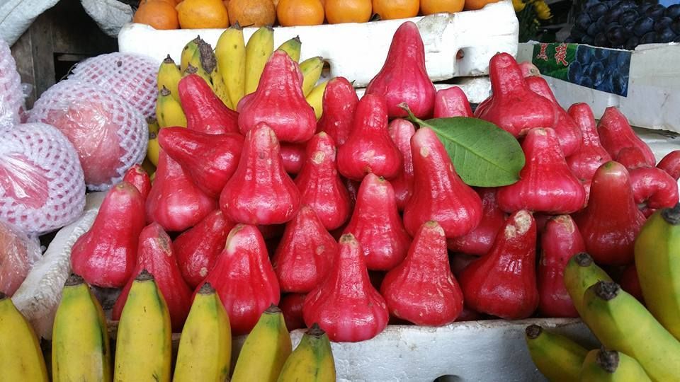 Découverte de Hanoi _ Groupe de Sauté