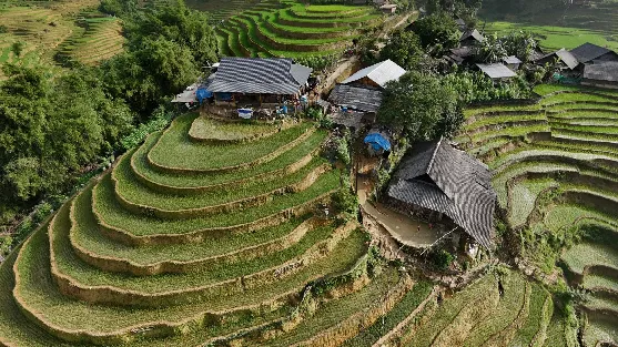 Une nuit chez l'habitant à Sapa : immersion chez les Hmong