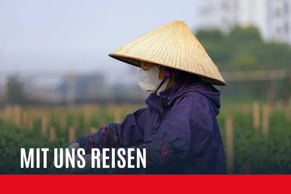 Ảnh 2