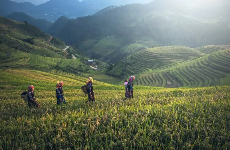 Sapa ou Ha Giang : Que Choisir pour Votre Voyage dans le Nord du Vietnam ?