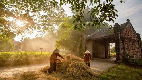 Duong Lam Ancient Village: A Day Trip from Hanoi