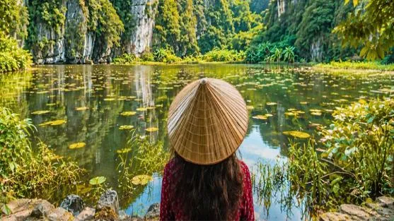 Agence Locale Au Vietnam : 10 Critères Pour Choisir La Bonne Agence