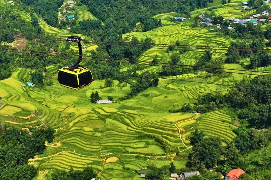 La culture du riz au Vietnam : Un art ancestral