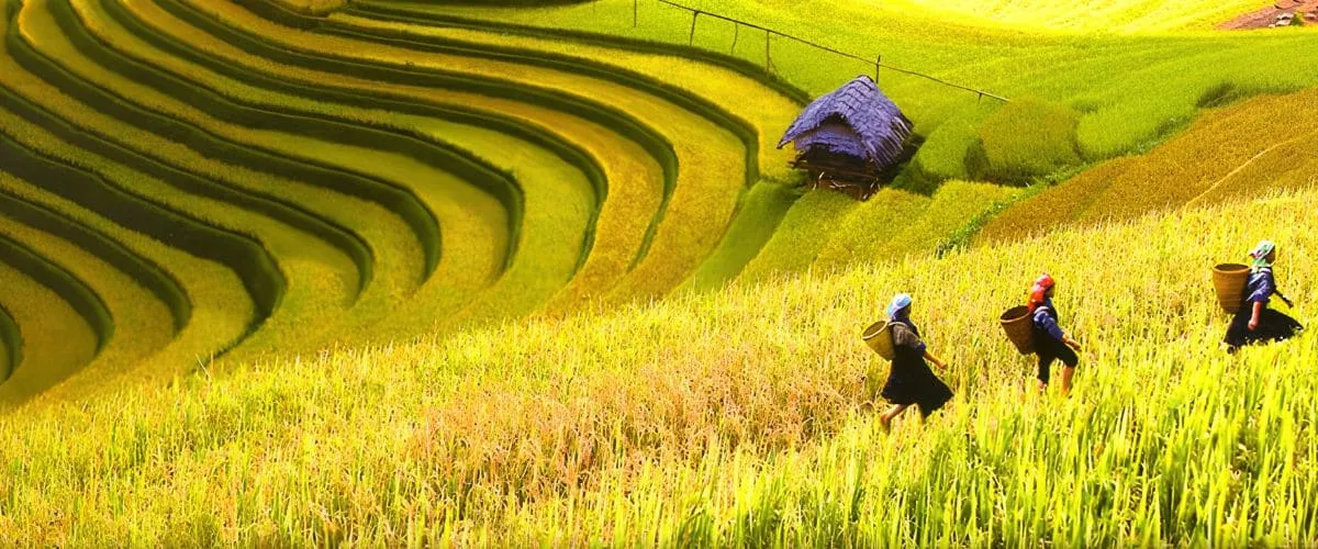 Combien de jours pour visiter le Vietnam : 7, 10, 15 ou 21 ?