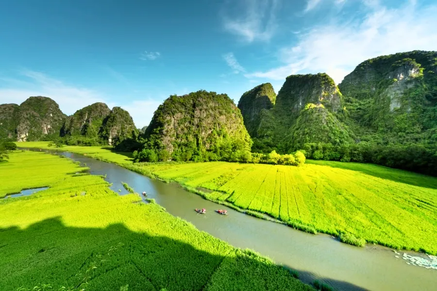 La culture du riz au Vietnam : Un art ancestral