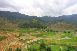 Circuit Route Photographes Nord Vietnam _ Groupe Mr. Henri