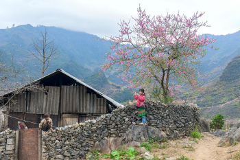 Vietnam du Nord, Authenticité du Tonkin de l'Est