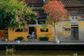 Vietnam combiné entre les couleurs du Tonkin et de l'Annam