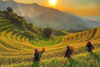 Vietnam dans le rêve du monde
