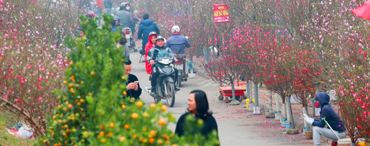 Circuits Vietnam au fin d'année