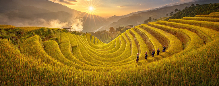 Vietnam en Octobre : Explorer les rizières dorées de Mu Cang Chai