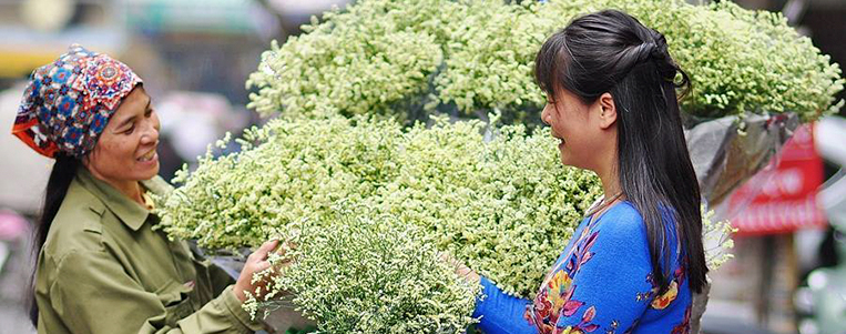 Lys blanc: La reine des fleurs du mois d'avril à Hanoi