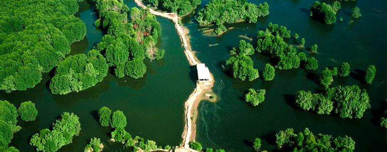 Can Gio "Oasis verte" pas loin de Saigon