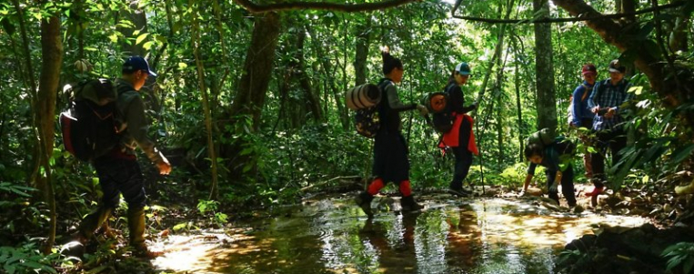 Parc national de Cuc Phuong : Votre prochaine escapade nature