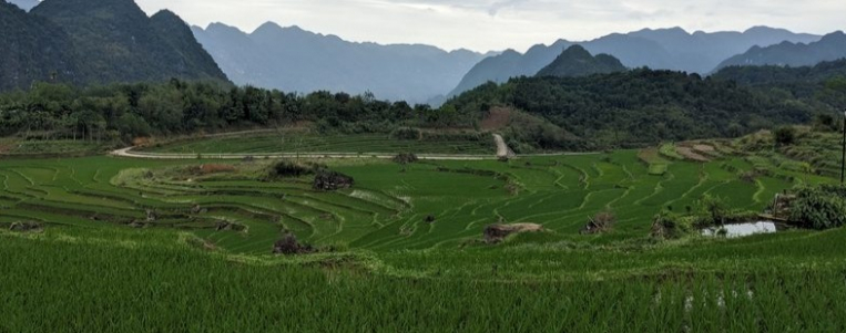 Pu Luong, une réserve naturelle unique à découvrir