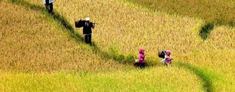 Vietnam: Climat et meilleur moment de l'année pour visiter