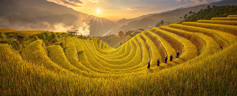 Vietnam en Octobre : Explorer les rizières dorées de Mu Cang Chai