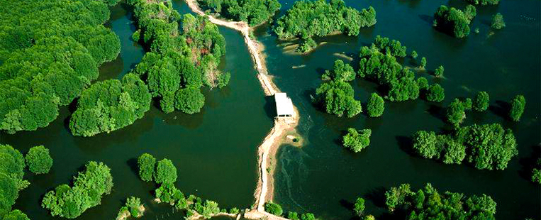 Can Gio "Oasis verte" pas loin de Saigon