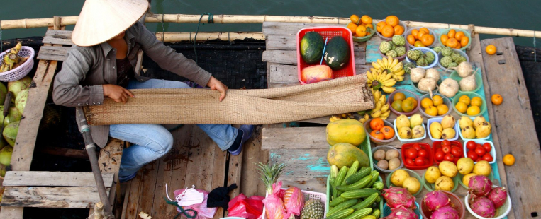 Quelques fruits typiques à découvrir au Vietnam