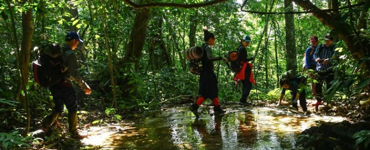 Parc national de Cuc Phuong : Votre prochaine escapade nature