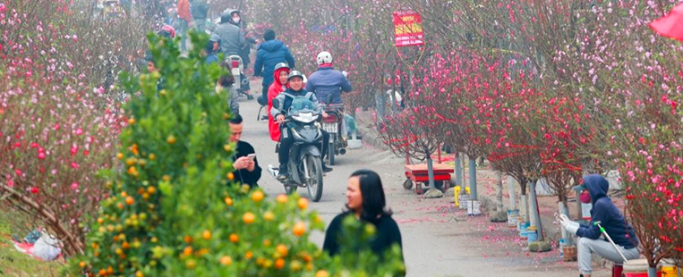 Circuits Fêtes de fin d'année au Vietnam (décembre, janvier, février)