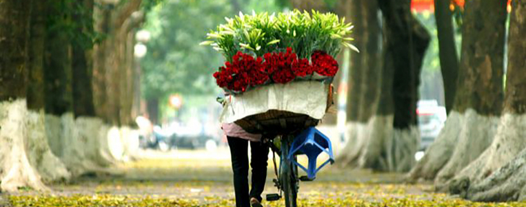 Les plus belles rues pour profiter la beauté de l'automne à Hanoi