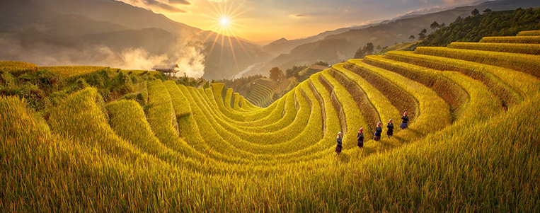 Voyage au Vietnam en Octobre: Explorer les rizières dorées de Mu Cang Chai