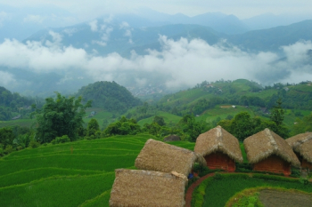 Rizières en terrasse à Hoang Su Phi