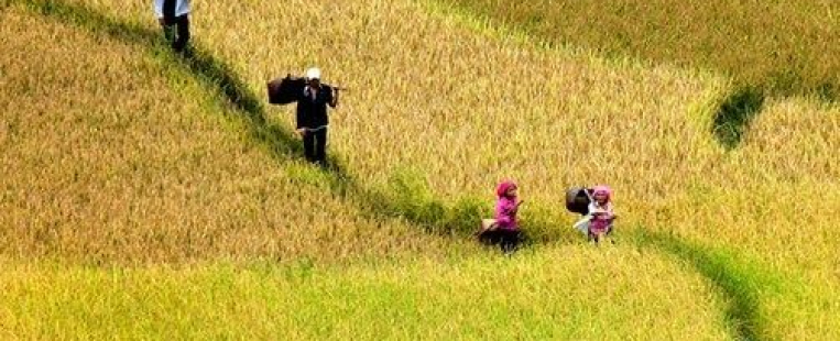 Vietnam: Climat et meilleur moment de l'année pour visiter